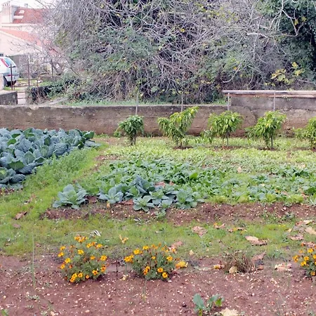 아파트 By The Sea - Diklo, - 5926 자다르