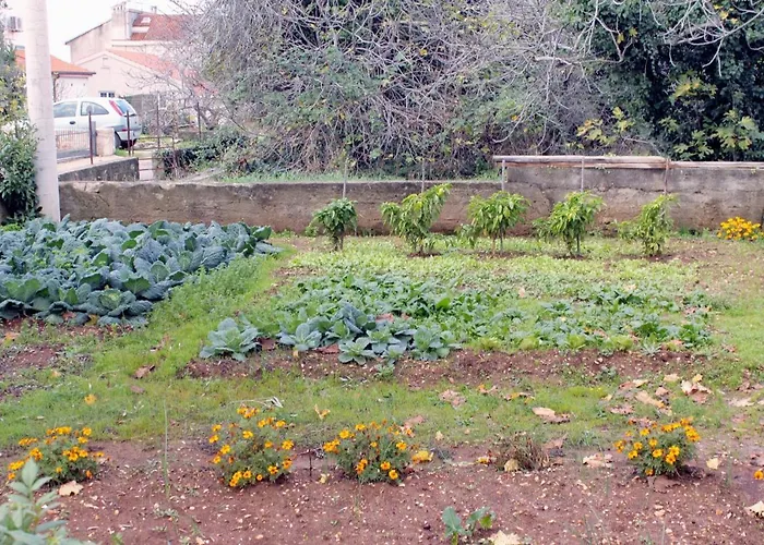 Appartement By The Sea - Diklo, - 5926 Zadar